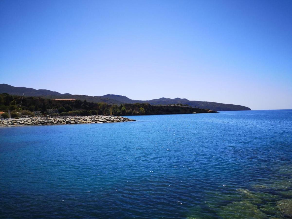 Panos & Antzy Apartments Καλαμάτα Εξωτερικό φωτογραφία