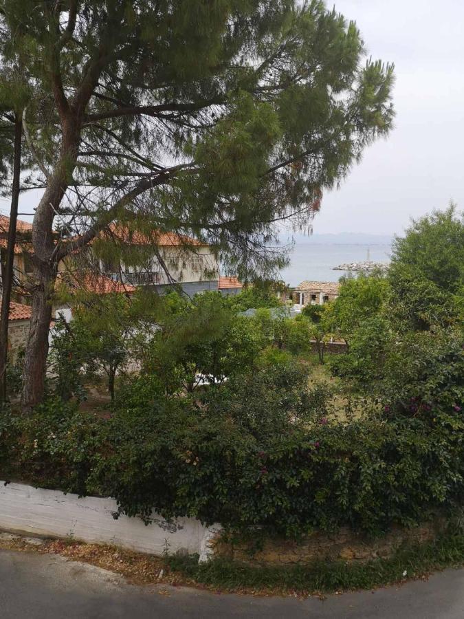 Panos & Antzy Apartments Καλαμάτα Εξωτερικό φωτογραφία